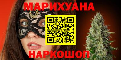 сатива Можга