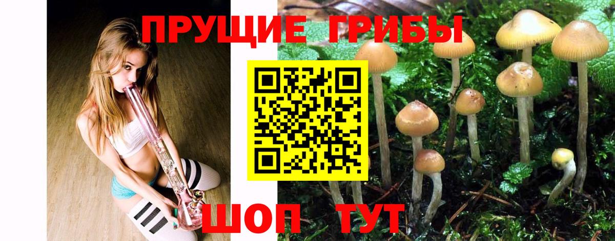 Галлюциногенные грибы ЛСД  Вход с VPN  Псилоцибиновые грибы Cubensis  Черкесск 